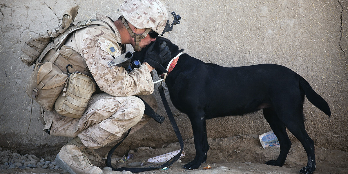 Soldier with Dog